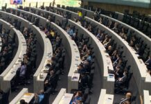 Most Senators Ditch Meeting to Discuss Charter Amendment