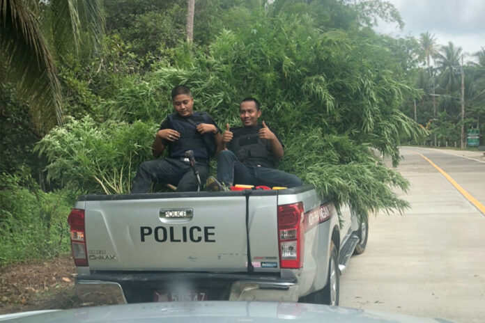 Police pose with confiscated marijuana on Sept. 3, 2020.