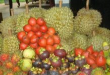 Gov’t To Promote Agricultural Exports at China Forum