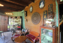 Battered by Corona, 130-Yr-Old Antique Museum to Shut Down