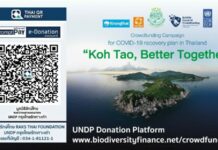 UNDP Thailand/Krungthai Bank Jointly Launch a Crowdfunding Campaign To Help People Affected by COVID 19 on Koh Tao and Save the Island’s Marine Environment
