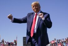 Japan Minister Bashes Trump Over Refusal To Accept Election Loss