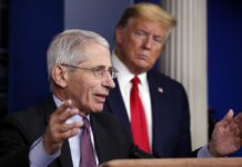 You’re (About to Be) Fired! Trump Threatens to Remove Fauci After Election