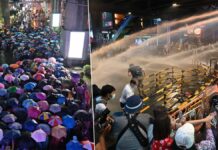Police Admit Teargas Was Used in Protest Crackdown