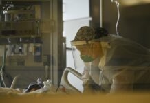 US Virus Deaths Hit Record Levels With the Holidays Ahead