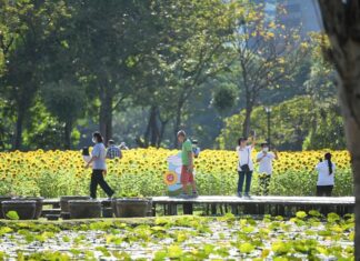 See Bangkok’s Blooms at Flora Festival in Parks Through 2021