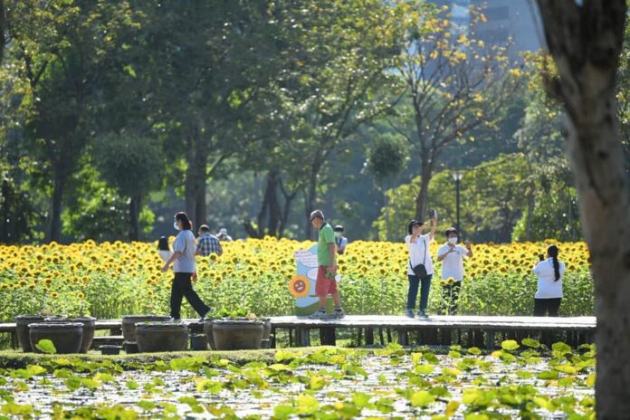 Rot Fai Park on Dec. 2, 2020. Photo: Bangkok Metropolitan Administration