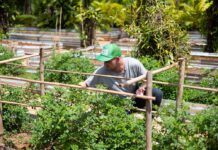 “We Try to Survive,” Phuket Restaurant 1st to Win ‘Green’ Michelin Star