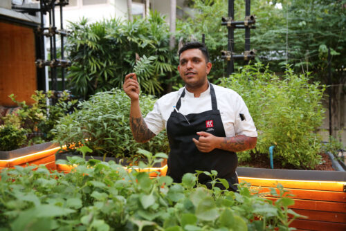 This ‘Green’ Indian Chef Is Feeding Fine Diners and Homeless in Pandemic