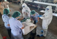 Virus Resurgence Spreads to 13 Provinces, PM Hints Tougher Measures Health workers prepare test kits in Nonthaburi on Dec. 22, 2020.