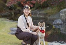 Pandemic Forces Japan’s Princess Aiko to Attend Online Classes