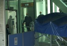 WHO Team Arrives in Wuhan To Search for Pandemic Origins
