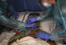 US Registering Highest Deaths Yet From the Coronavirus