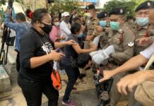 Cops Crack Down on Rally Denouncing Lese Majeste, Make Arrests