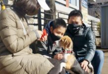 Japan’s Pet Ownership in on the Rise in COVID-19 Pandemic