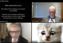 Attorney-at-Paw? Filter Makes Lawyer Look Like Cat in Court