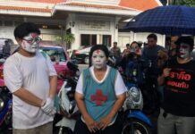 2010 Crackdown: Mother of Slain Medic Says Justice Hinges on Next Gov’t