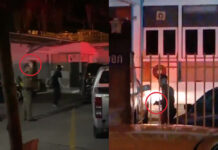 Police Defend Firing Live Rounds to Warn Protesters
