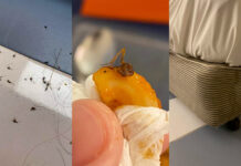 Hotel Threatens to Sue After Nightmarish Quarantine Review Goes Viral