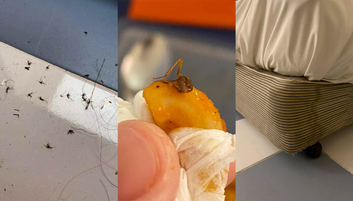 Mosquitos, a cockroach in the macaroni, and moldy bedding in the state quarantine at Ambassador City Jomtien in photos taken between Jan. 28 and Feb. 11, 2021. Photos: Topp Dunyawi Phadungsaeng / Facebook