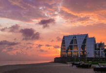 The Ultimate Reset of an Escape Back To Nature