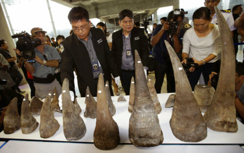 Thailand Says 330 Million Baht Seized in Wildlife Trafficking Sting