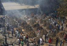 SOS Messages, Panic as Virus Breaks India’s Health System