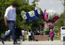 WHO Leader Says Virus Risk Inevitable at Tokyo Olympics