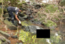 Police Investigating Death of Swiss Woman in Phuket