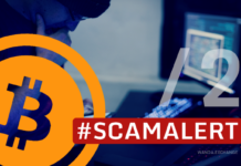 Scam Patrol-A Breakdown of The Greed Game