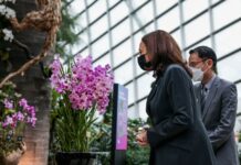 Harris Holds Steady on Southeast Asia Trip as Crises Loom