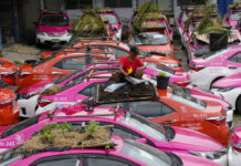 Idled Taxis Go Green With Mini-Gardens on Car Roofs
