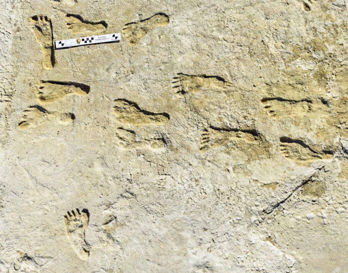 North America Oldest Fossil Footprints