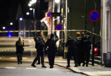 Assailant With Bow and Arrows Kills 5 People in Norway