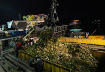 Loy Krathong Honors, Pollutes Rivers