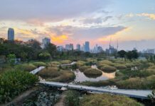 A Review of Bangkok’s New Wetland Park