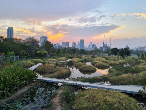 A Review of Bangkok’s New Wetland Park