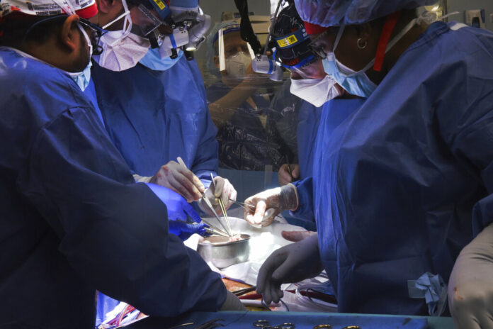 In this photo provided by the University of Maryland School of Medicine, members of the surgical team perform the transplant of a pig heart into patient David Bennett in Baltimore on Friday, Jan. 7, 2022. Photo: Mark Teske / University of Maryland School of Medicine via AP In this photo provided by the University of Maryland School of Medicine, members of the surgical team perform the transplant of a pig heart into patient David Bennett in Baltimore on Friday, Jan. 7, 2022. Photo: Mark Teske / University of Maryland School of Medicine via AP