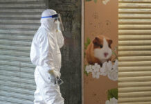Hong Kong To Kill 2,000 Animals After Hamsters Get COVID-19 A staffer from the Agriculture, Fisheries and Conservation Department walks past a pet shop which was closed after some pet hamsters were, authorities said, tested positive for the coronavirus, in Hong Kong, Tuesday, Jan. 18, 2022. Photo: Kin Cheung / AP