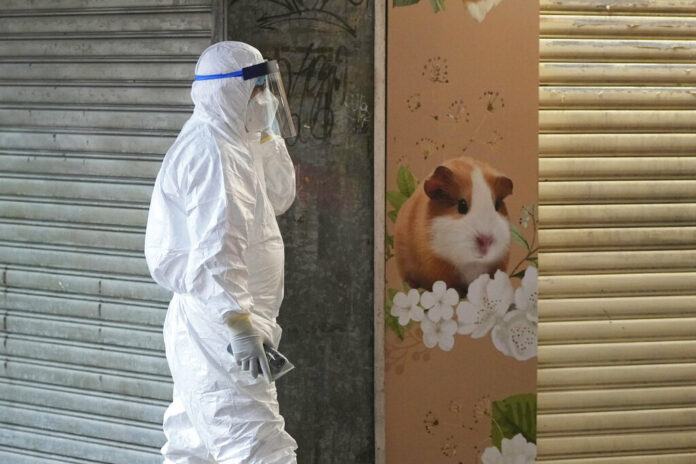 A staffer from the Agriculture, Fisheries and Conservation Department walks past a pet shop which was closed after some pet hamsters were, authorities said, tested positive for the coronavirus, in Hong Kong, Tuesday, Jan. 18, 2022. Photo: Kin Cheung / AP