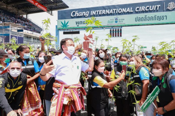 Health Minister Anutin Charnvirakul poses with people holding their marijuana plants during the distribution of 1 million free marijuana seedlings in Buriram province on June 10, 2022. Photo: Bhumjaithai Party.