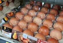 CP Foods adopts 3R approach for sustainable egg packaging, using 100% recyclable tray eggs