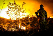 Europe Broils in Heat Wave That Fuels Fires in France, Spain This photo provided by the fire brigade of the Gironde region (SDIS 33) shows a firefighter stands next to wildfire near Landiras, southwestern France, Monday morning, July 18, 2022. Photo: SDIS 33 via AP