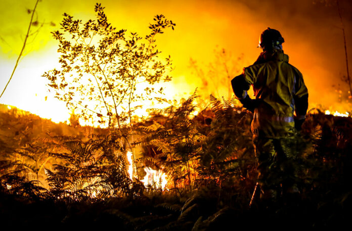 This photo provided by the fire brigade of the Gironde region (SDIS 33) shows a firefighter stands next to wildfire near Landiras, southwestern France, Monday morning, July 18, 2022. Photo: SDIS 33 via AP This photo provided by the fire brigade of the Gironde region (SDIS 33) shows a firefighter stands next to wildfire near Landiras, southwestern France, Monday morning, July 18, 2022. Photo: SDIS 33 via AP