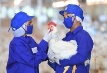 CP Foods secures Farm F1rst assurance for its commitment to animal welfare and food security