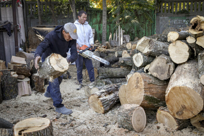 Men cut wood for heating outside Chisinau, Moldova, Saturday, Oct. 15, 2022. Photo: Aurel Obreja / AP