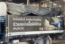 CP Foods makes food donation to save Thai elephants amid economic uncertainty