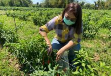 CP Foods improves SME supplier’s capacity to comply global best practices