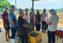 CP Foods promotes food safety culture for SMEs partners.