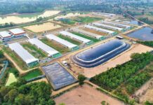 CP Foods demonstrates the success of its biogas system in combating climate change.
